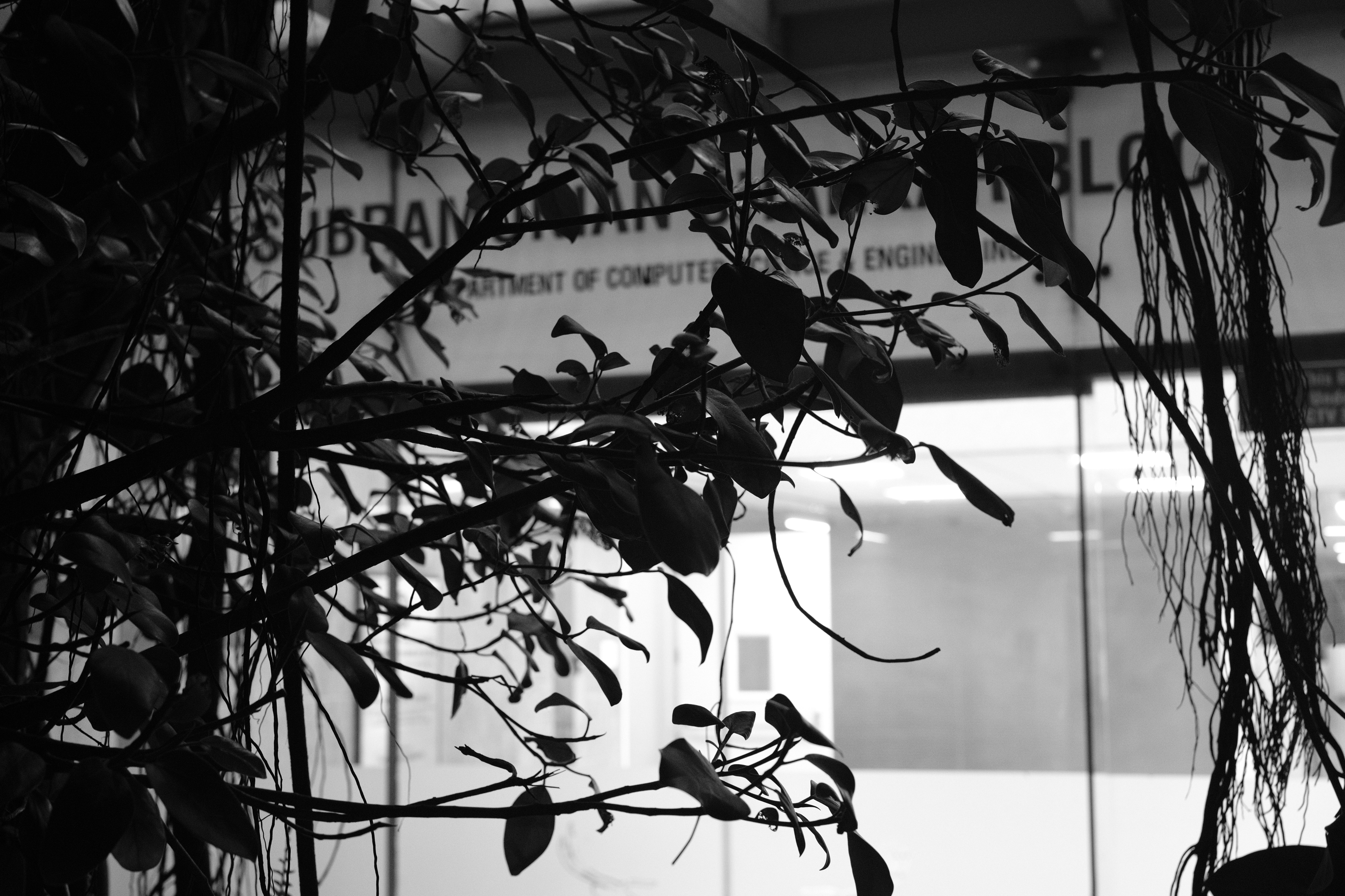Tree : An algebraic data type